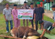 Owner PMKS PT Permata Citra Rangau H.Asril Awaloeddin Kembali Salurkan Hewan Qurban di Mesjid & Mushollah Sekitar Pabrik