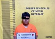 Pelaku Tindak Pidana Pencurian Kotak Infaq Musholla, Diamankan Satreskrim Polres Bengkalis