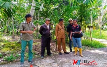 Diduga Oknum Kepala Dusun Telah Memalsukan Surat Keterangan Ganti Rugi, SKGR Tanah Kebun Milik Asikin/Kimeng