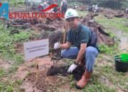 Sambut HUT RI ke-79, PT EDI Gelar Penghijauan 1.000 Pohon di Sepadan Sungai Rokan