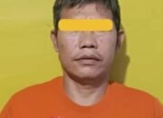 Seorang DPO Kasus Pencurian Sapi Diamankan Personil Polsek Tambusai