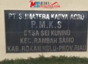Sungai Siabu Sumbek Tercemar, Pemilik Ikan yang Mati Bingung Ditanyai DLH Riau, Mana Bon Pembelian, Mana Goni Pakan ?
