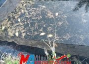 Sungai Siabu Sumbek Diduga Dicemari Limbah PT SKA, Ikan-ikan Mati Mengambang