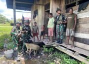 Kepedulian Marinir Habema Baksos Disambut Gembira Warga Sokamu