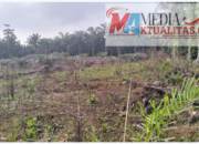 Lahan TKD Pasir Agung diduga Dibakar Guna Pembersihan, Api Sempat Menjalar Ke Lahan Sawit Warga.