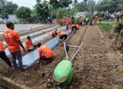 Tingkatkan Skill, Warga Binaan Lapas Pasir Pengaraian diberi Pelatihan Budidaya Tanaman Holtikultura