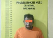 Tersangka Kasus Penganiayaan Ditangkap Tim Resmob Polres Rohul Bersama Personil Polsek Tandun