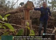 DPW MAKALAH(Masyarakat Anti Kerusakan Lingkungan dan Hutan)Riau Prihatin Dengan Penebangan Kayu di Hutan Sungai Linau Bengkalis