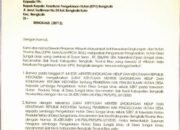 UPK KPH Bengkalis Pulau Tidak Sanggup Tangkap Pelaku Pembalakan Lahan Milik Desa Sungai Linau.