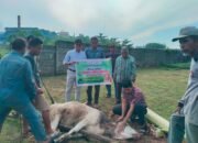 PT Permata Citra Rangau Teguhkan Komitmen Sosial Lewat Qurban dan Santunan Anak Yatim di Idul Adha 1446 H / 2025 M