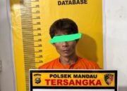 Keji! Anak di Mandau Aniaya Ibu Kandung hingga Luka Berat Demi Rebut HP