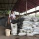 Kelompok Tani Mutiara Indah Siak Sukses Olah Limbah Jadi Pupuk Organik “Green Mutiara”, Dukung Ketahanan Pangan Nasional