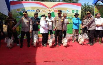 Gubernur Riau dan Kapolda Riau Tanam Jagung Serentak di Mandau, Disiarkan Langsung Bersama Wapres dan Pimpinan Daerah se-Indonesia