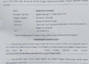 8 Bulan Laporan Jalan di Tempat, Polsek Pinggir Disorot: Ada Apa dengan Kasus Pengrusakan Sawit Ini?