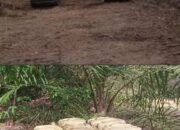 Bongkar! Dugaan Mafia Sawit HPK Rohil: Aset Negara Dipakai, BBM Subsidi Disedot, Oknum Aparat Diduga Terlibat