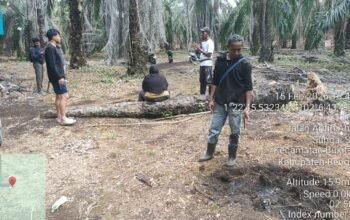 Polres Bengkalis Tetapkan Tersangka Karhutla di Bukit Batu, Lahan Gambut 5 Hektare Terbakar