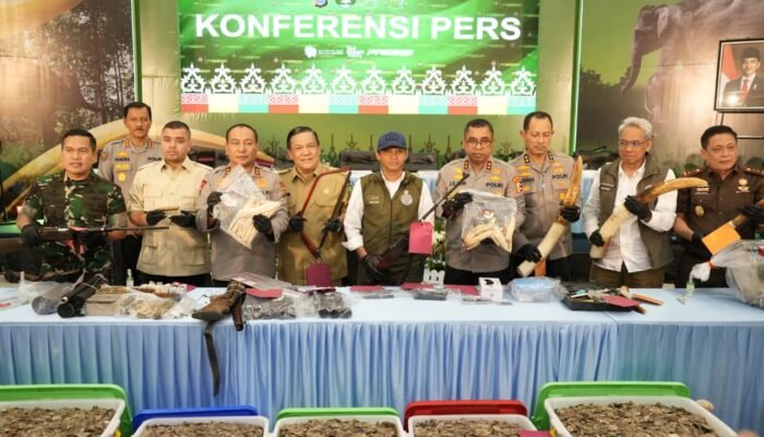 Polda Riau Bekuk 15 Tersangka, Bongkar Jaringan Perburuan Gajah Sumatera Lintas Provinsi