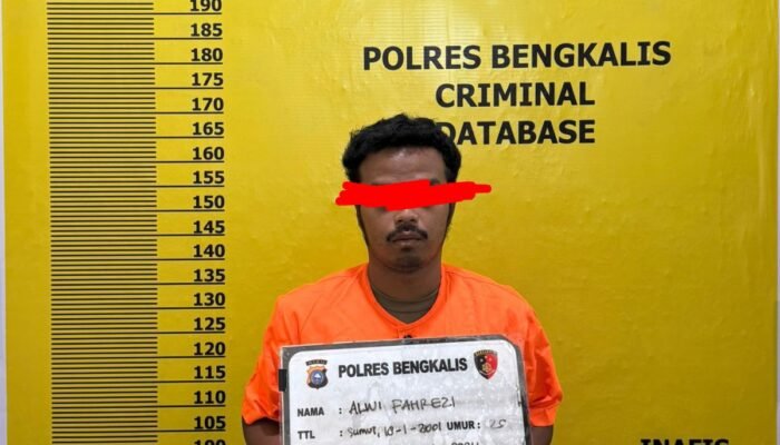 Digerebek Tengah Malam! Polres Bengkalis Gagalkan Pengangkutan 5 Kubik Kayu Ilegal di Siak Kecil