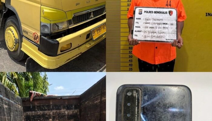 Polres Bengkalis Kembali Ringkus Pelaku Illegal Logging di Siak Kecil, Penangkapan Kedua dalam Satu Hari