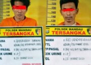 Malam Berdarah Narkoba di Mandau! Polisi Ringkus 3 Tersangka, 12 Paket Sabu dan Jaringan Terbongkar