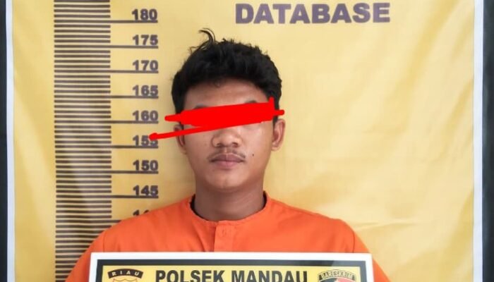 Polsek Mandau Ringkus Terduga Pelaku Kasus Anak,Kurang dari 24 Jam