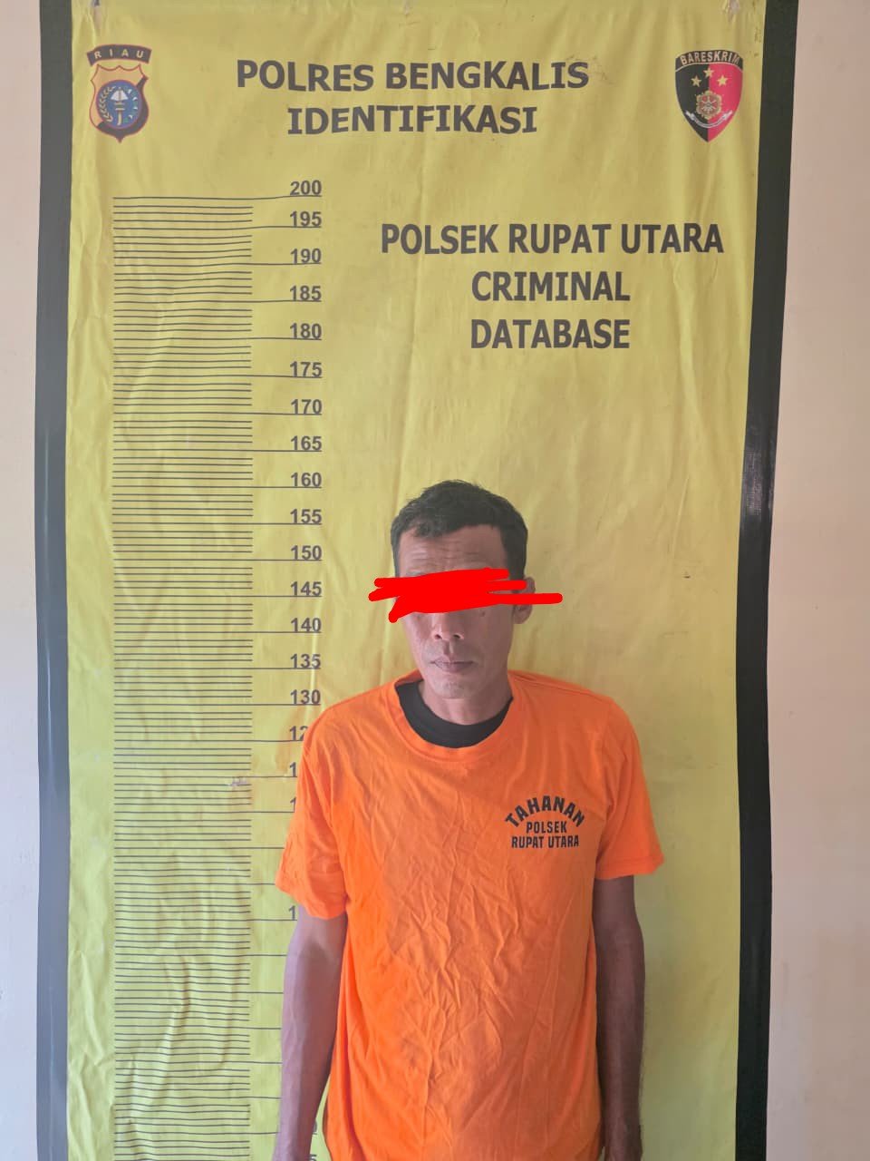 Api Melalap Hutan, Pelaku Kabur! Kini Ditangkap Polres Bengkalis