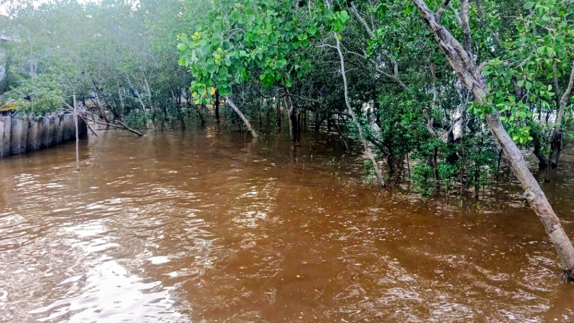 Nelayan tradisional di pesisir Dumai mengeluhkan rusaknya ekosistem laut dan menurunnya hasil tangkapan ikan.