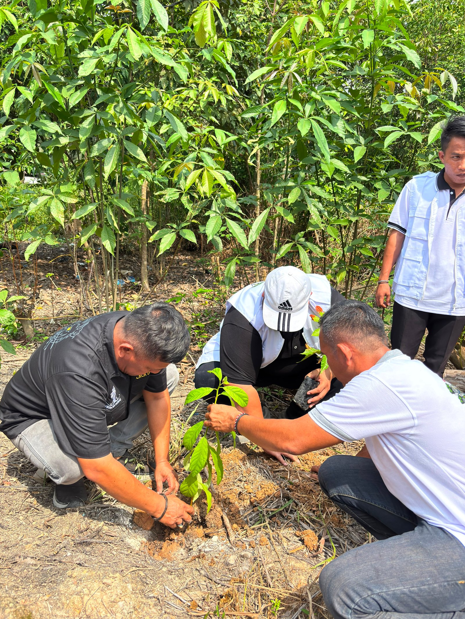 Barisan Gajah Nasional Indonesia melakukan penanaman pohon dalam gerakan 1 Jiwa 1 Pohon di Pekanbaru