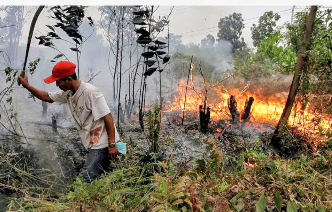 Kemarau panjang di Dumai membuat air bersih warga menipis