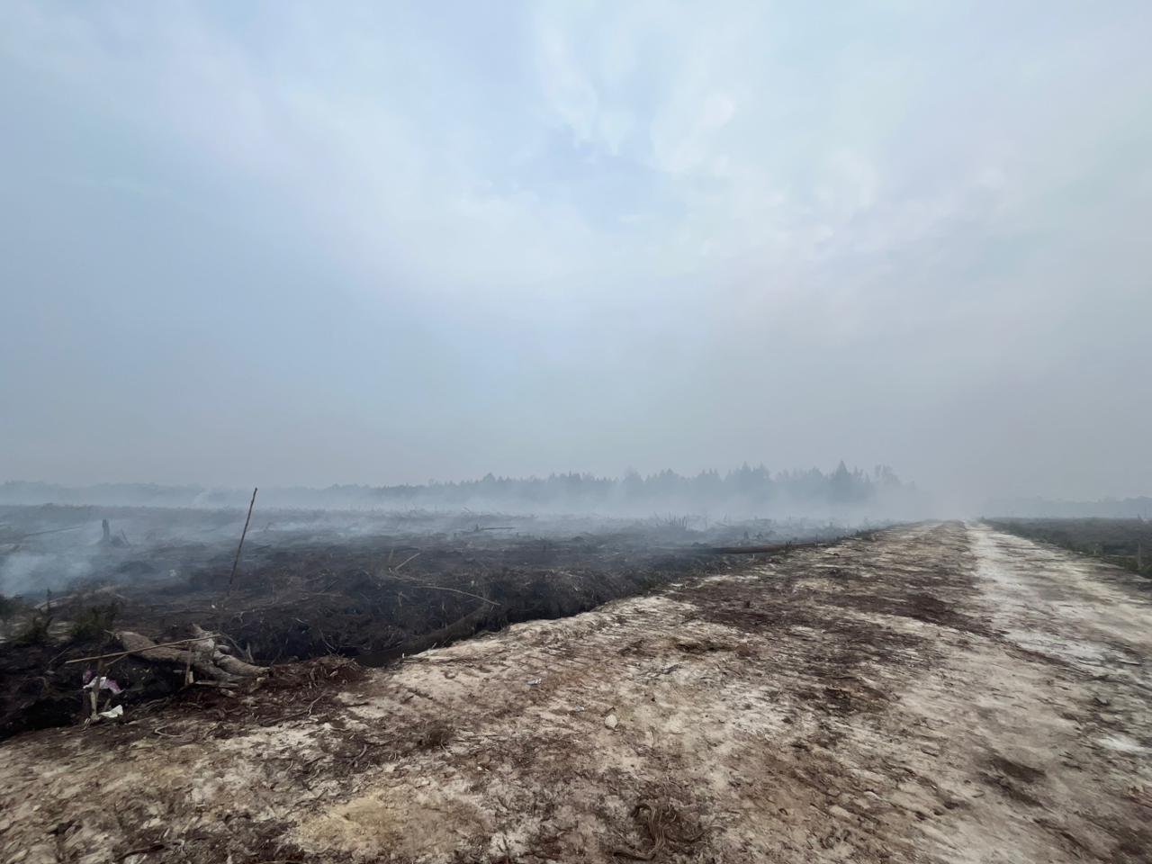 Kondisi lahan terbuka dan berasap di lokasi karhutla Tasik Tebing Serai Bengkalis